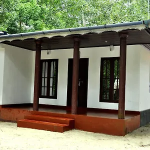 https://marari-secret-beach-yoga-homestay.kerala-hotels.net